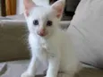 Jimmy