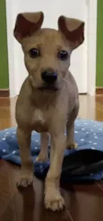 Loo