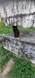 Rafael