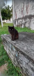 Rafael