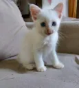 Jimmy