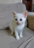 Jimmy