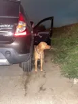 Não sei