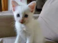 Jimmy