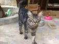 João 