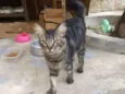João 