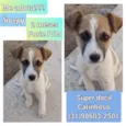 Snoopy