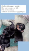 Não tem nome 
