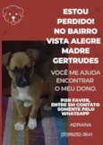 Ervilha 