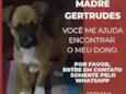 Ervilha 