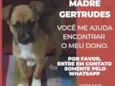 Ervilha 