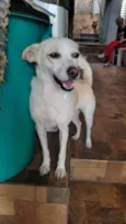 Vitória