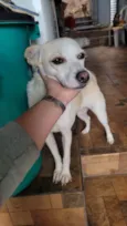 Vitória