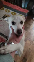 Vitória
