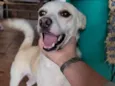Vitória