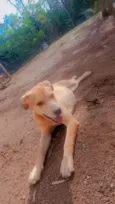 Zaya