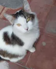 Júlio 