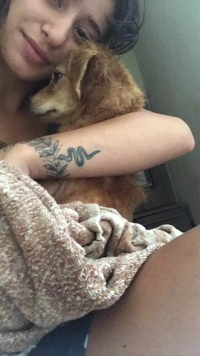 Cachorro ra a Vira lata idade 7 a 11 meses nome Lilica