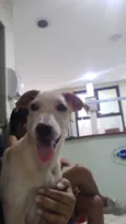 Lua
