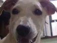 Lua