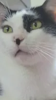 Greta