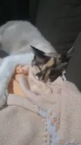 Amy