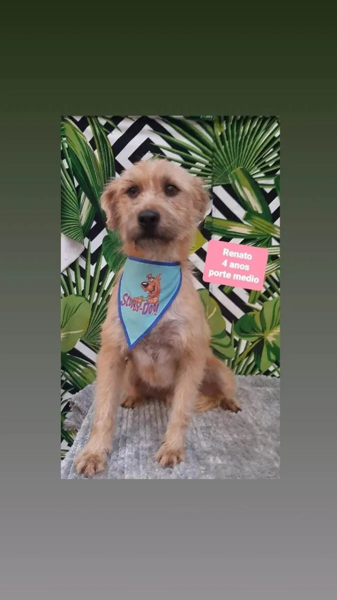 Renato 