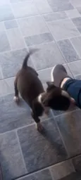 Fiona