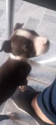 Fiona