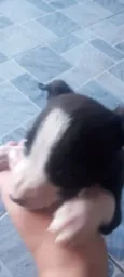 Fiona