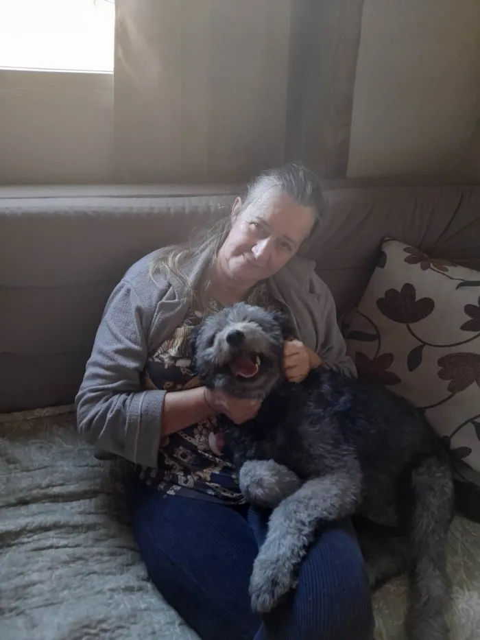 Cachorro raça Podlle idade 2 anos nome Princesa