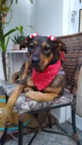 Belinha