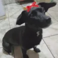 Rubi