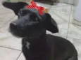 Rubi