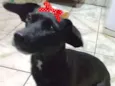 Rubi