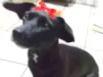 Rubi