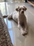 Luck
