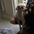 Luck