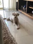 Luck