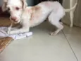 Luck