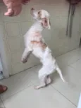 Luck