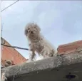 Luck