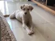 Luck