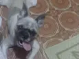 Zuu