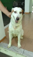 Meg