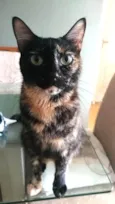 Meg