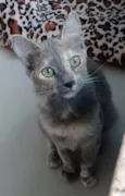 SUSY