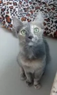 SUSY