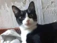 Margo