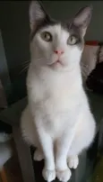 John